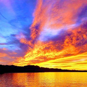 Meet your Posher, Suella